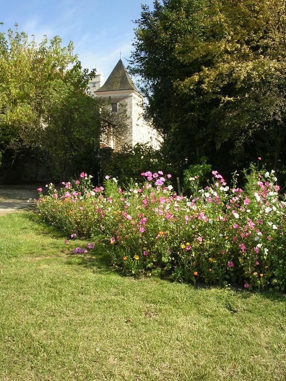 Chateau De La Noblaye Lemere Exterior foto